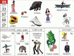 Buku Mimpi 2D Bergambar Lengkap Erek Erek 00 – 99